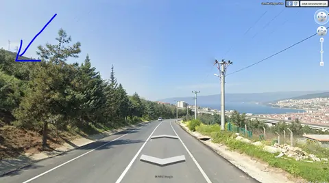 Yatırımcısına Kazandıracak Konumda Eşsiz Zeytinlik!